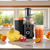 Self Cleaning Juicer a 304 LEU