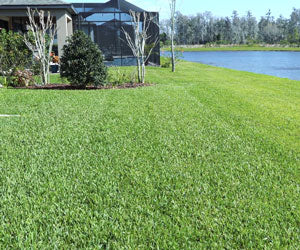 Grass Seed Mat a 298 LEU