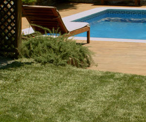 Aquagrazz a 59,99€