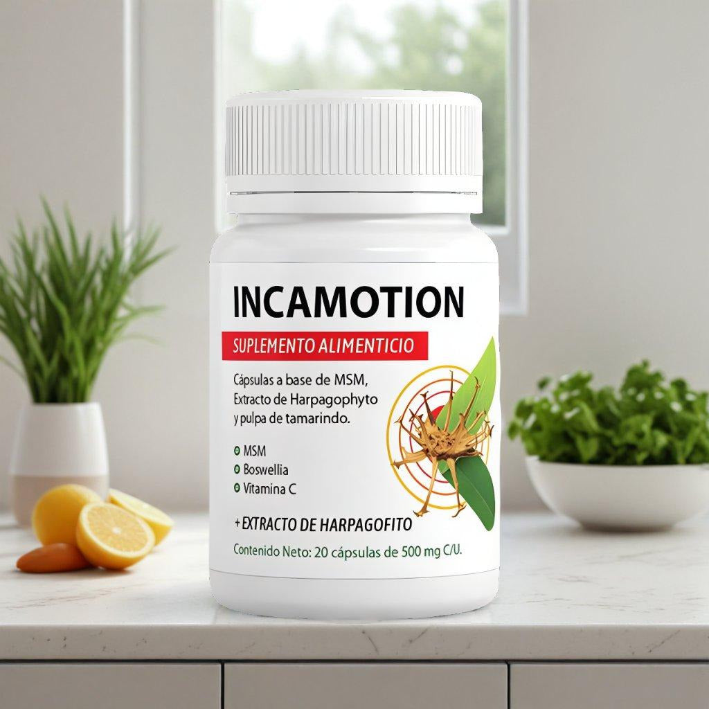 IncaMotion