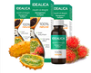 Idealica