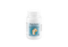 Fisio Forte